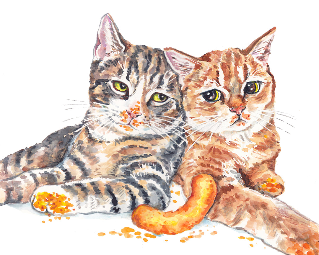Pet Portraits