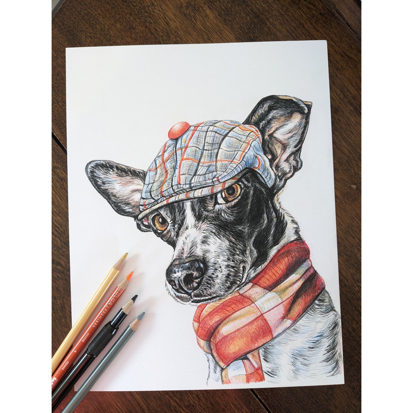 Pet Portraits
