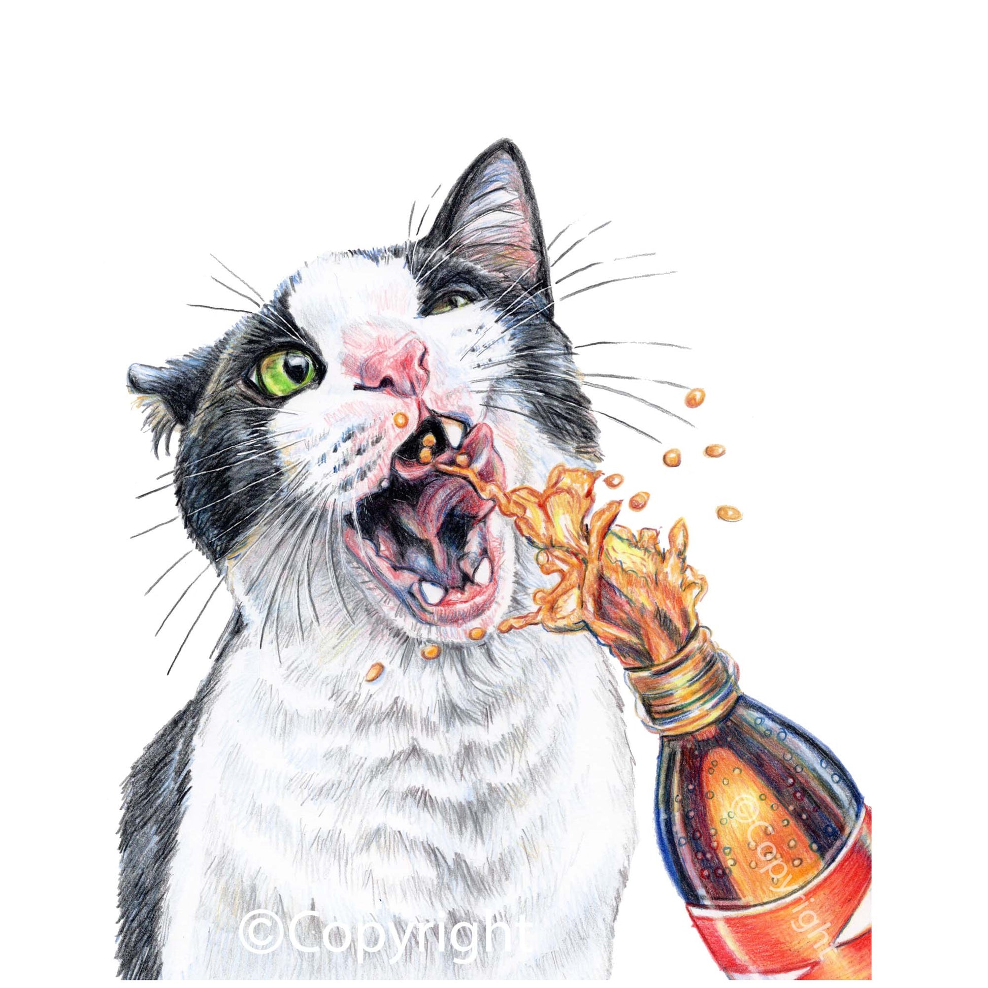 Coloured pencil drawing of a tuxedo cat drinking from a spraying bottle of soda pop. Art by Deidre Wicks