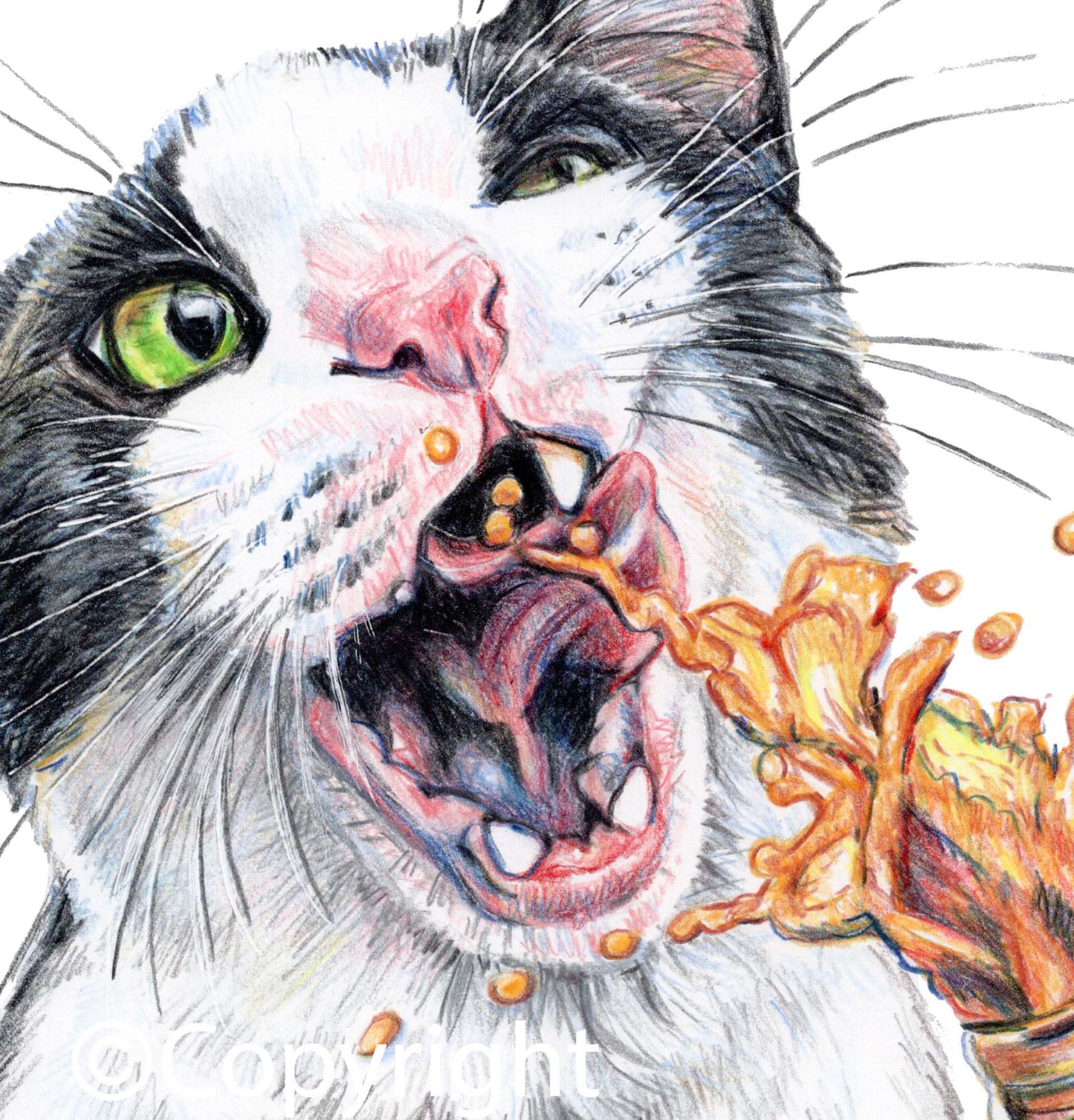 Coloured pencil drawing of a tuxedo cat drinking from a spraying bottle of soda pop. Art by Deidre Wicks