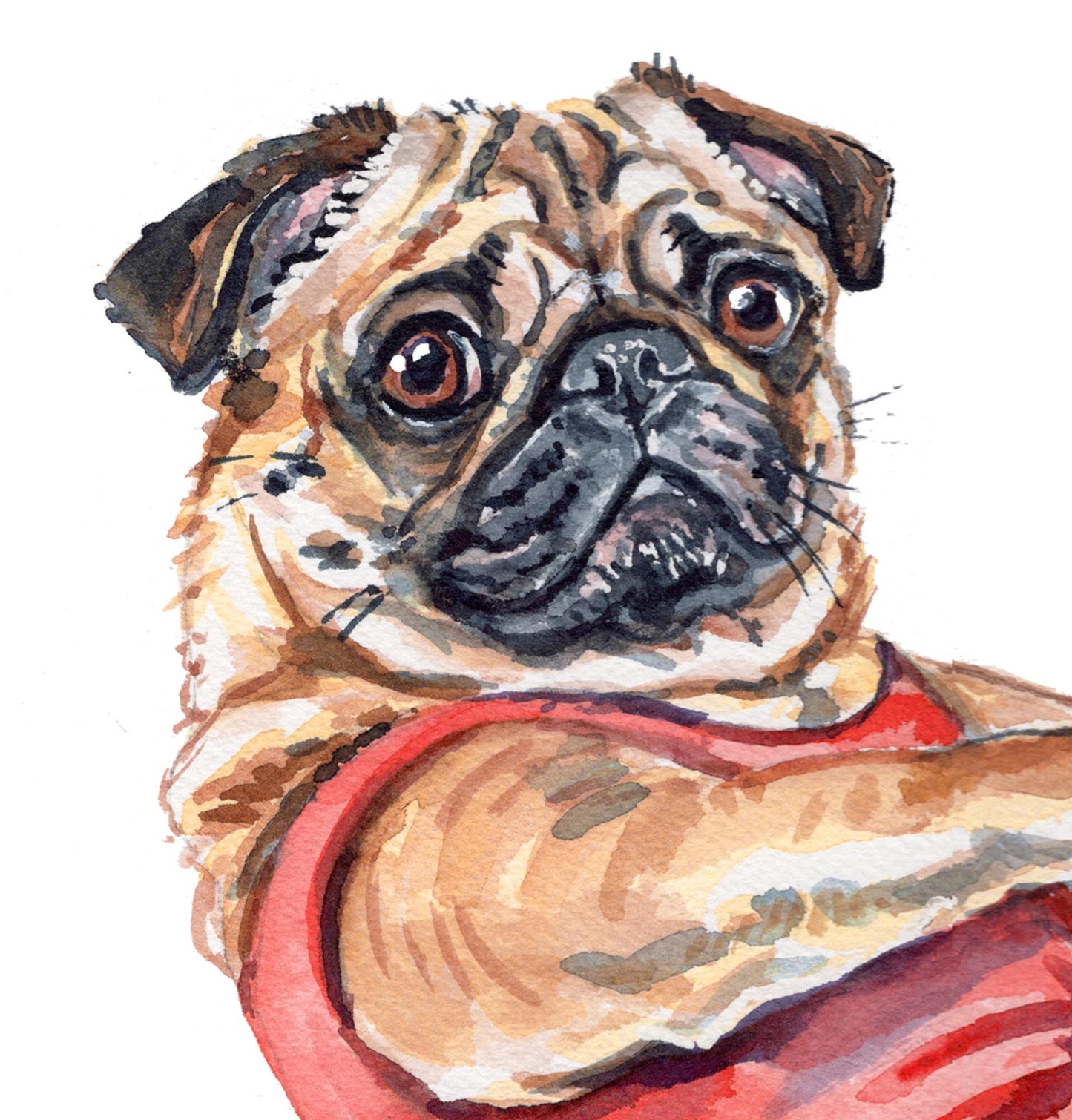Pug Teaser Original Watercolour Painting