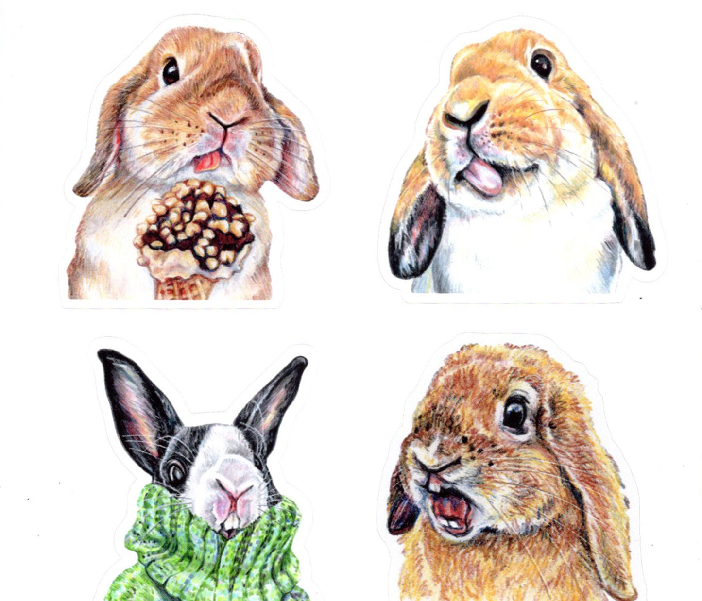 Four illustrations of rabbits in different poses on a white background