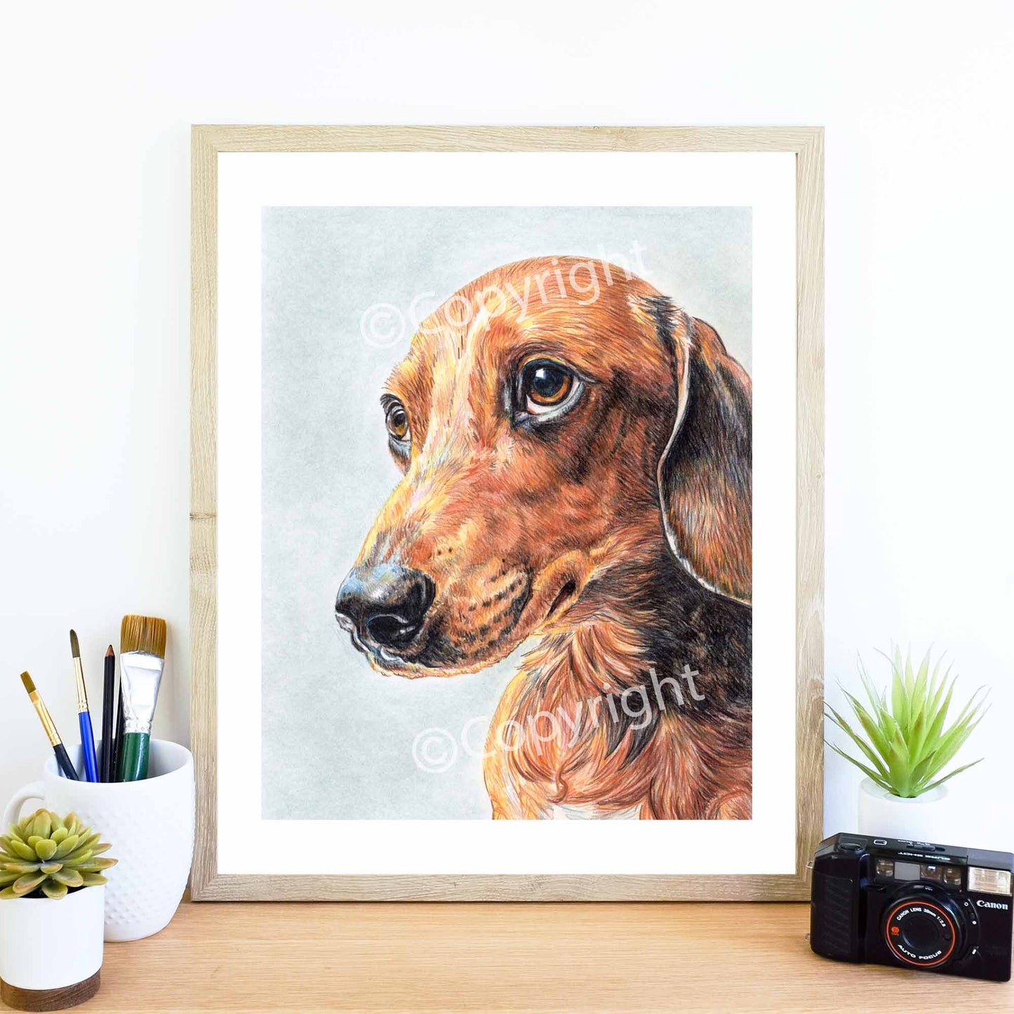 Original crayon drawing of a dachshund dog begging with his eyes for more food by Deidre Wicks