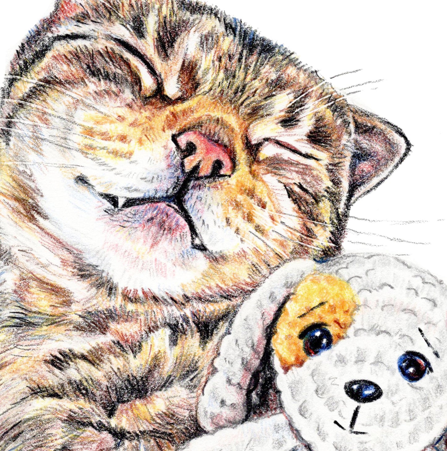 Coloured pencil drawing of a brown tabby cat napping with stuffed dog by Deidre Wicks