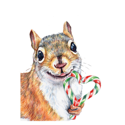 Sugar Sweet Squirrel Print