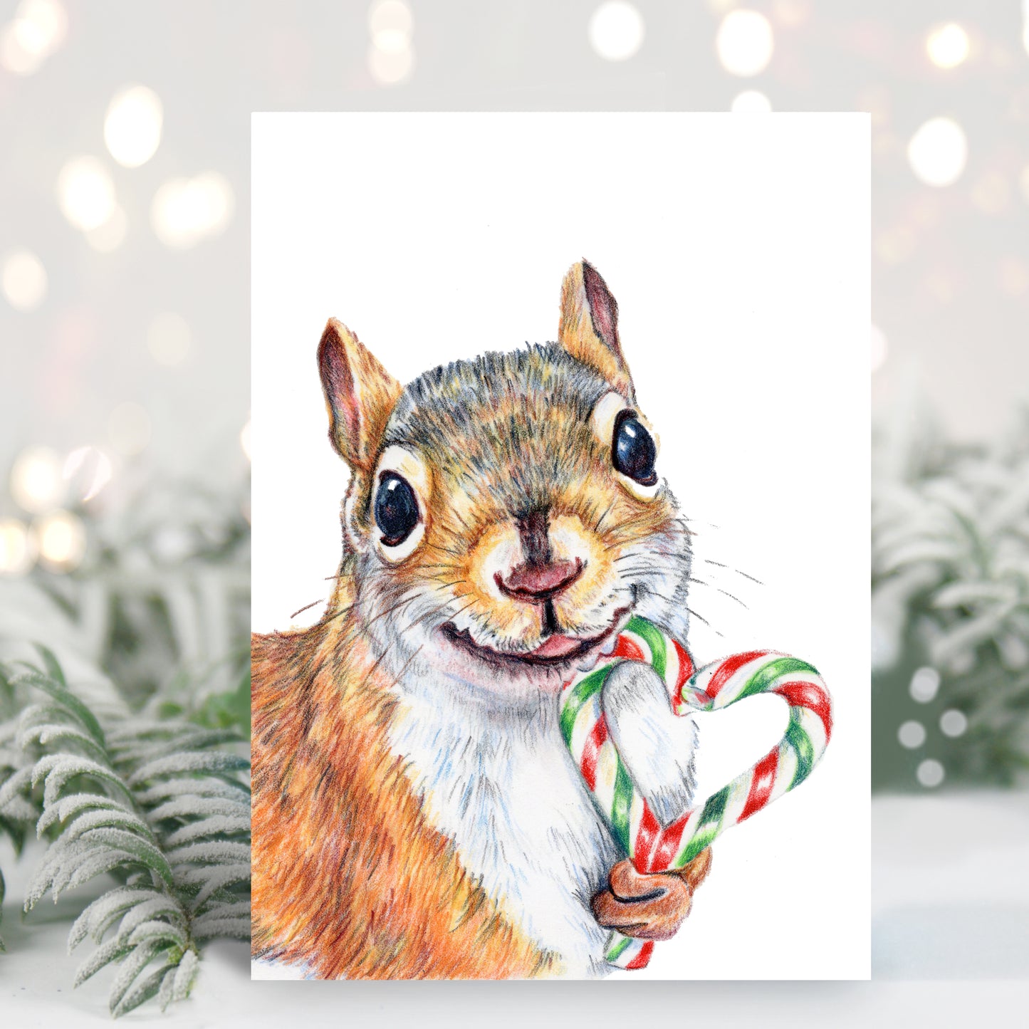 Christmas card featuring a coloured pencil drawing of a squirrel eating a candy cane