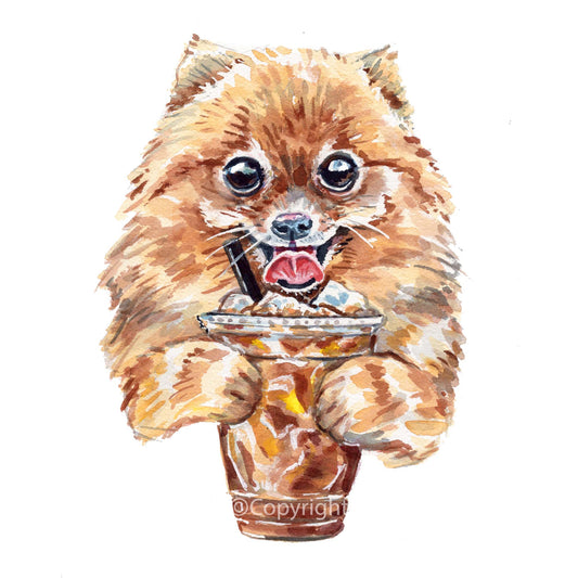 Watercolour painting of a Pomeranian Dog drinking an ice coffee