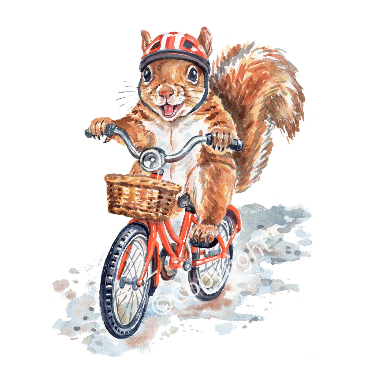 Watercolor illustration of a brown squirrel wearing a red and white helmet and riding an orange bicycle with a front basket on a white background.