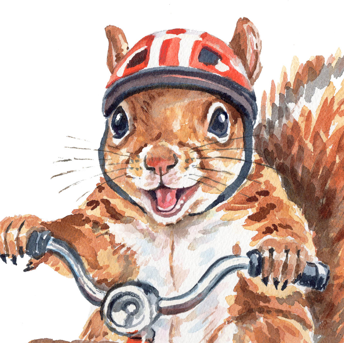 Watercolor illustration of a smiling squirrel wearing a red and white striped bicycle helmet and gripping bicycle handlebars against a white background.