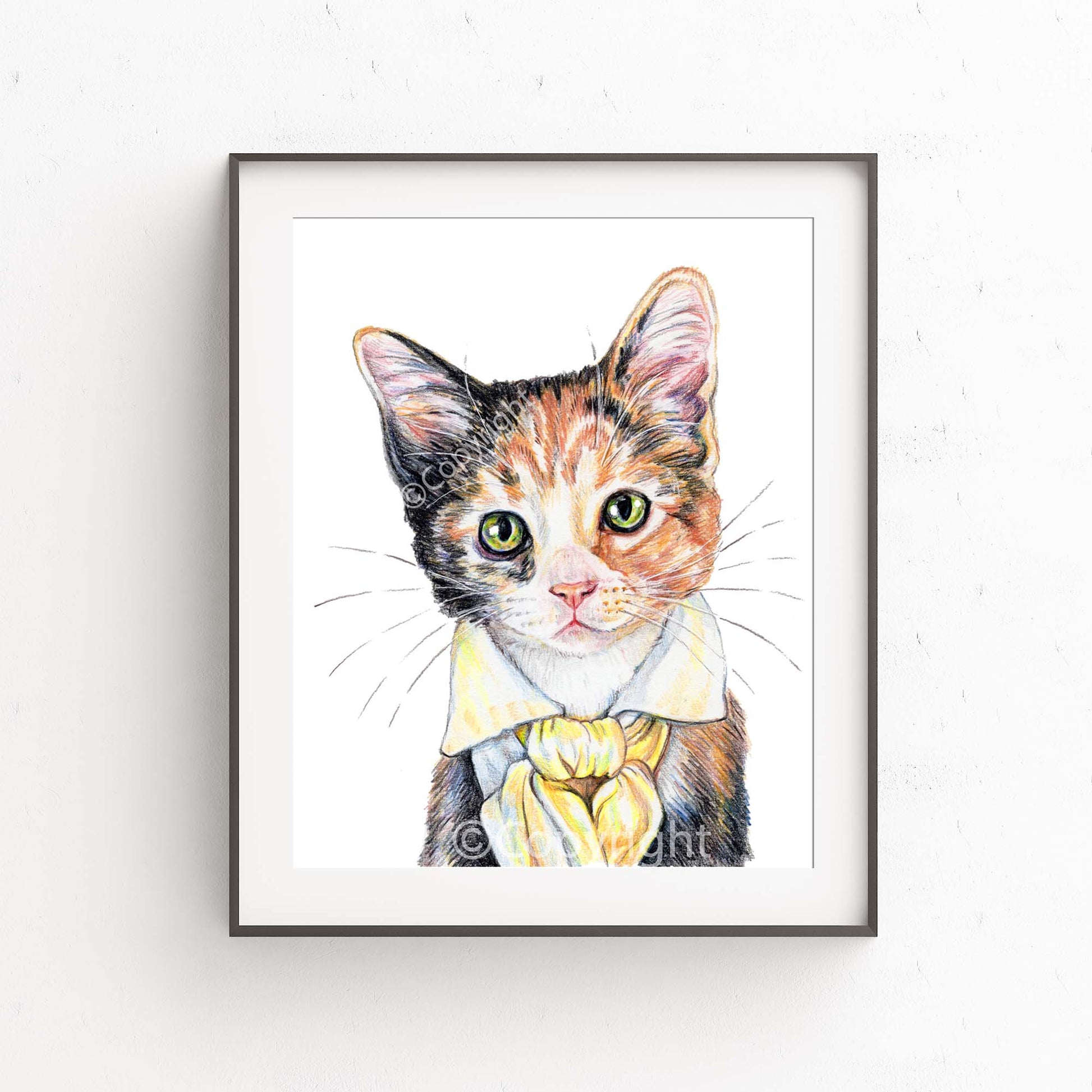 Coloured Pencil drawing of a calico kitten cat wearing a Romantic-style cravat. Art by Deidre Wicks