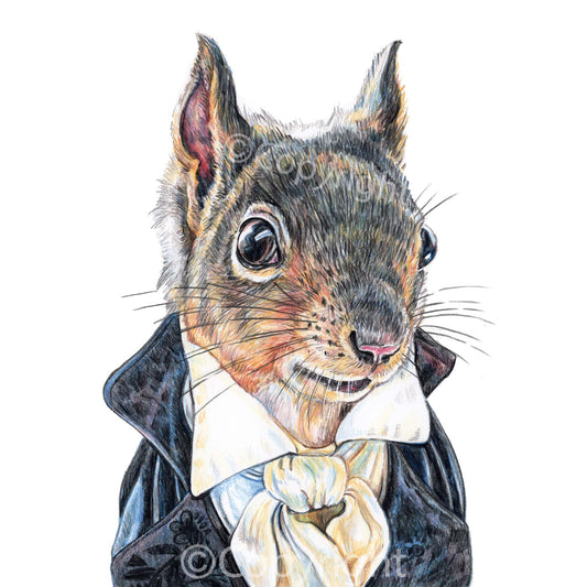 Coloured pencil drawing of a squirrel dressed like a Romantic hero from a Jane Austin book. Art by Deidre Wicks