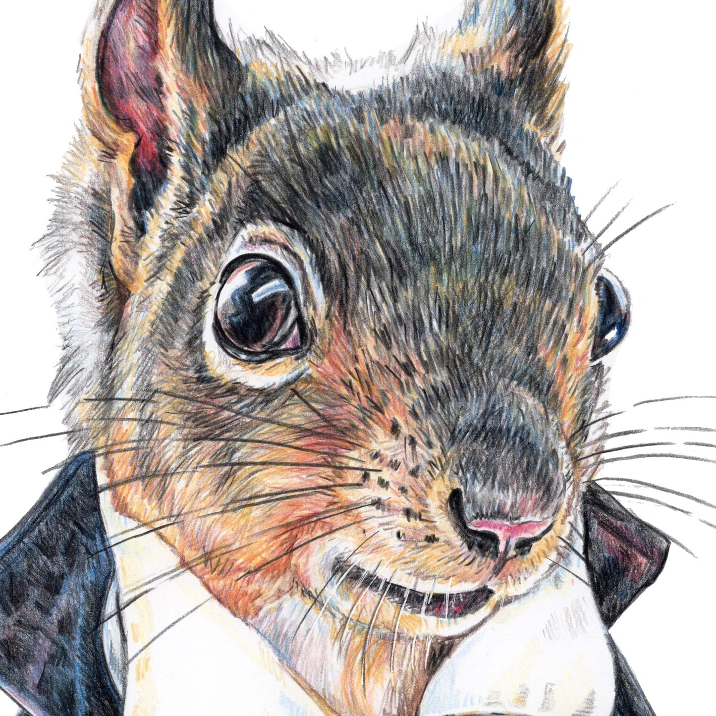 Coloured pencil drawing of a squirrel dressed like a Romantic hero from a Jane Austin book. Art by Deidre Wicks