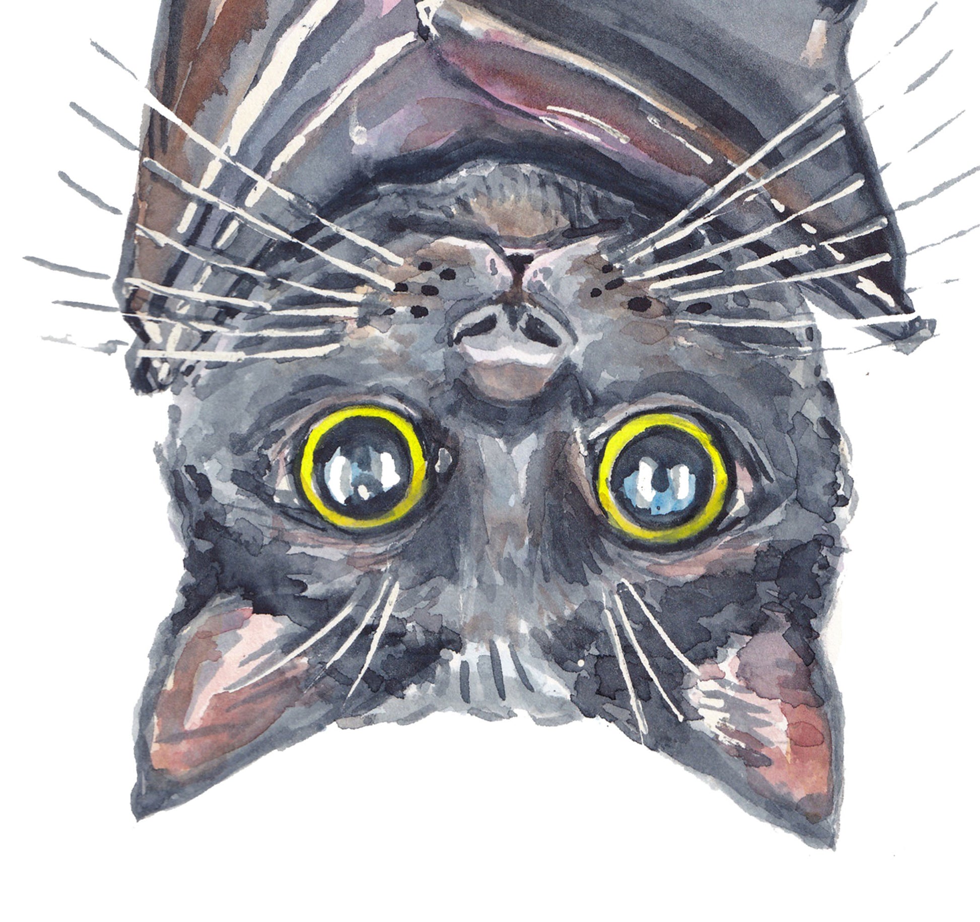 Close up of a black cat with big yellow eyes. Watercolour painting by Deidre Wicks