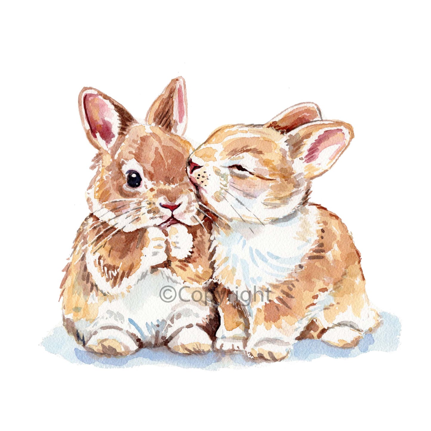 Two rabbits sitting close together on a white background