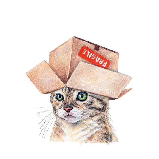 Illustration of a cat wearing a cardboard box with 'Fragile' label on a white background