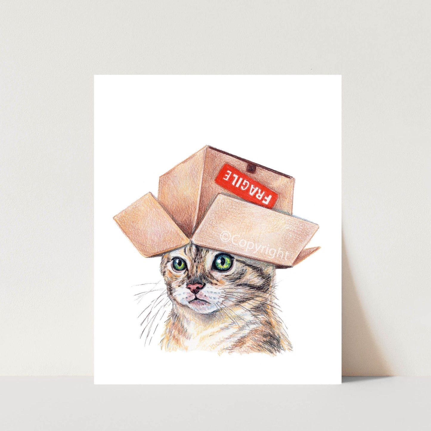 Illustration of a cat wearing a cardboard box with text on a white background