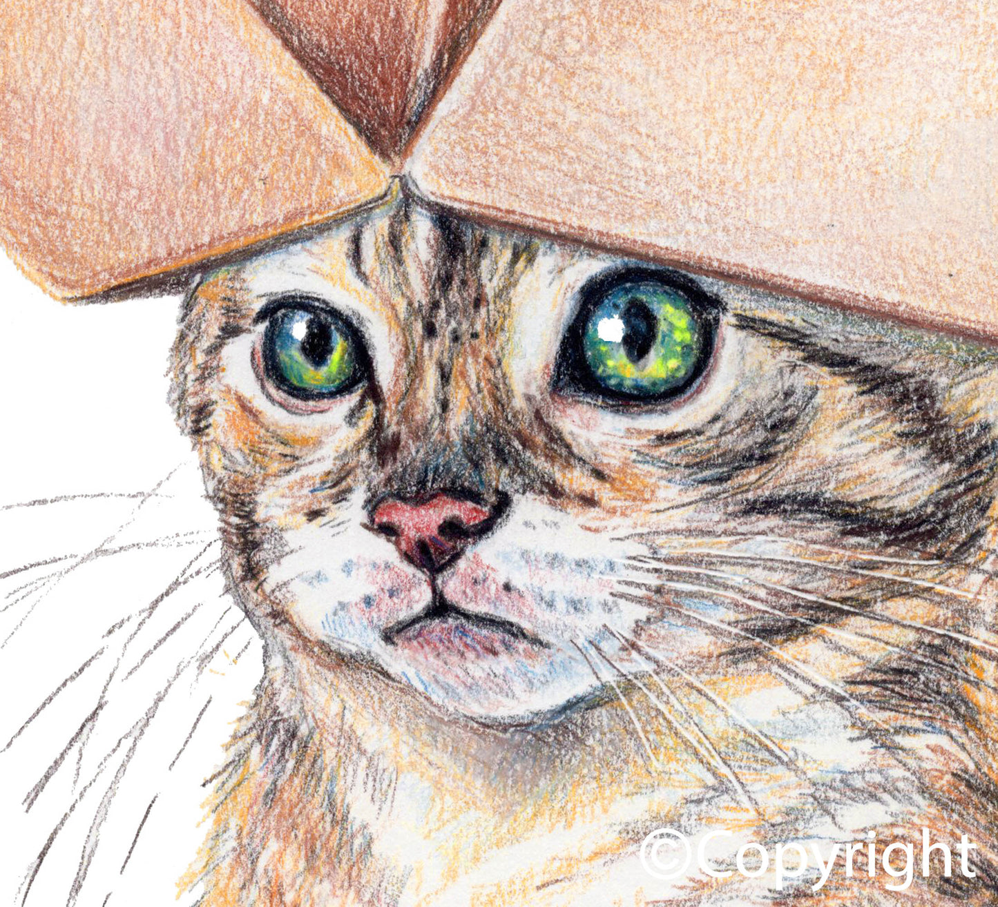 Thinking Inside the Box Cat Print