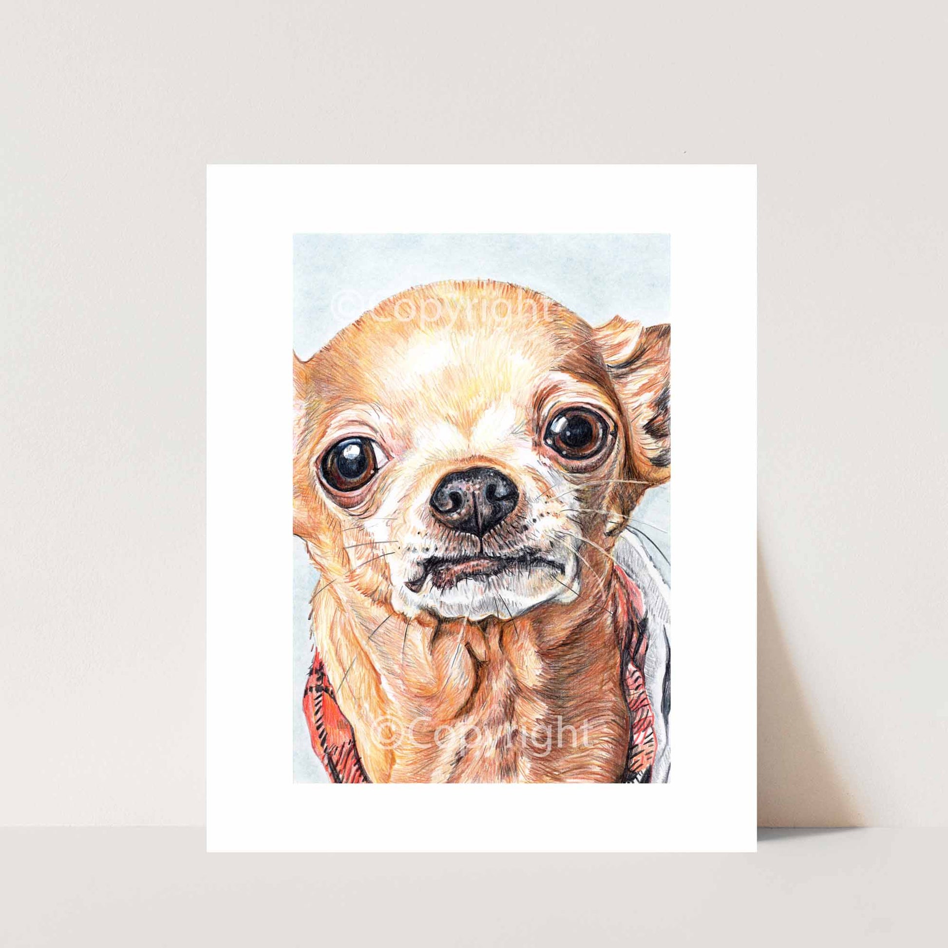 Crayon portrait of a sassy chihuahua dog who is too cook for obedience school. Original art by Deidre Wicks