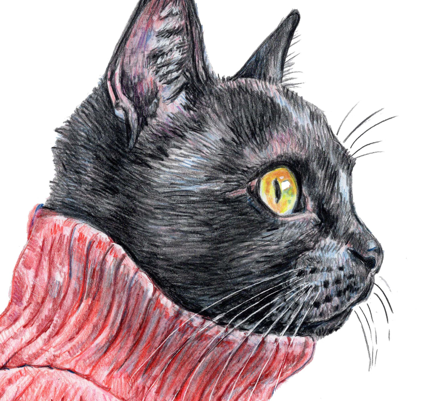 Coloured pencil drawing of a black cat in profile wearing a red turtleneck sweater. Art by Deidre Wicks
