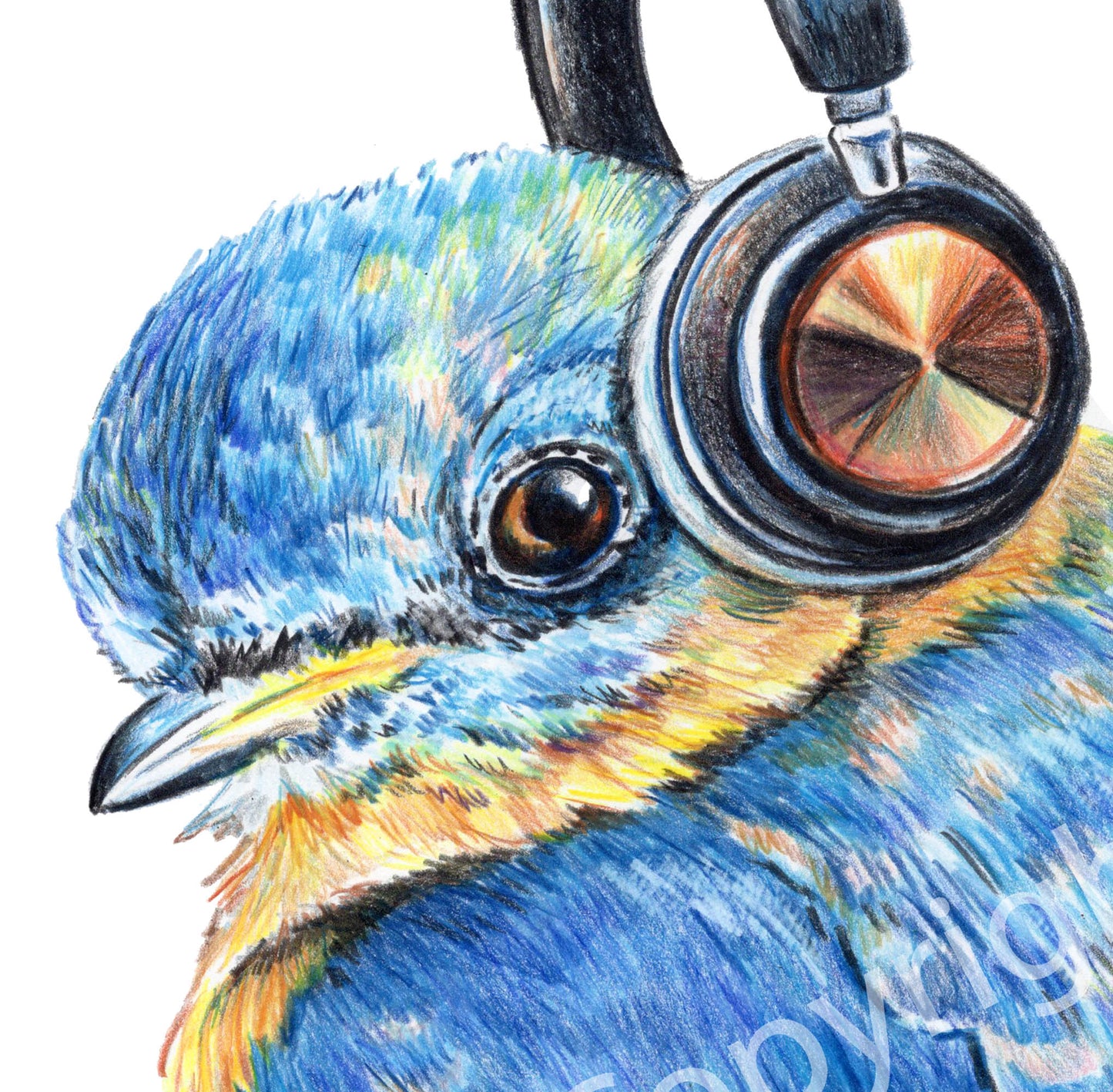 Crayon drawing of a bright blue bird wearing wireless headphone by Deidre Wicks