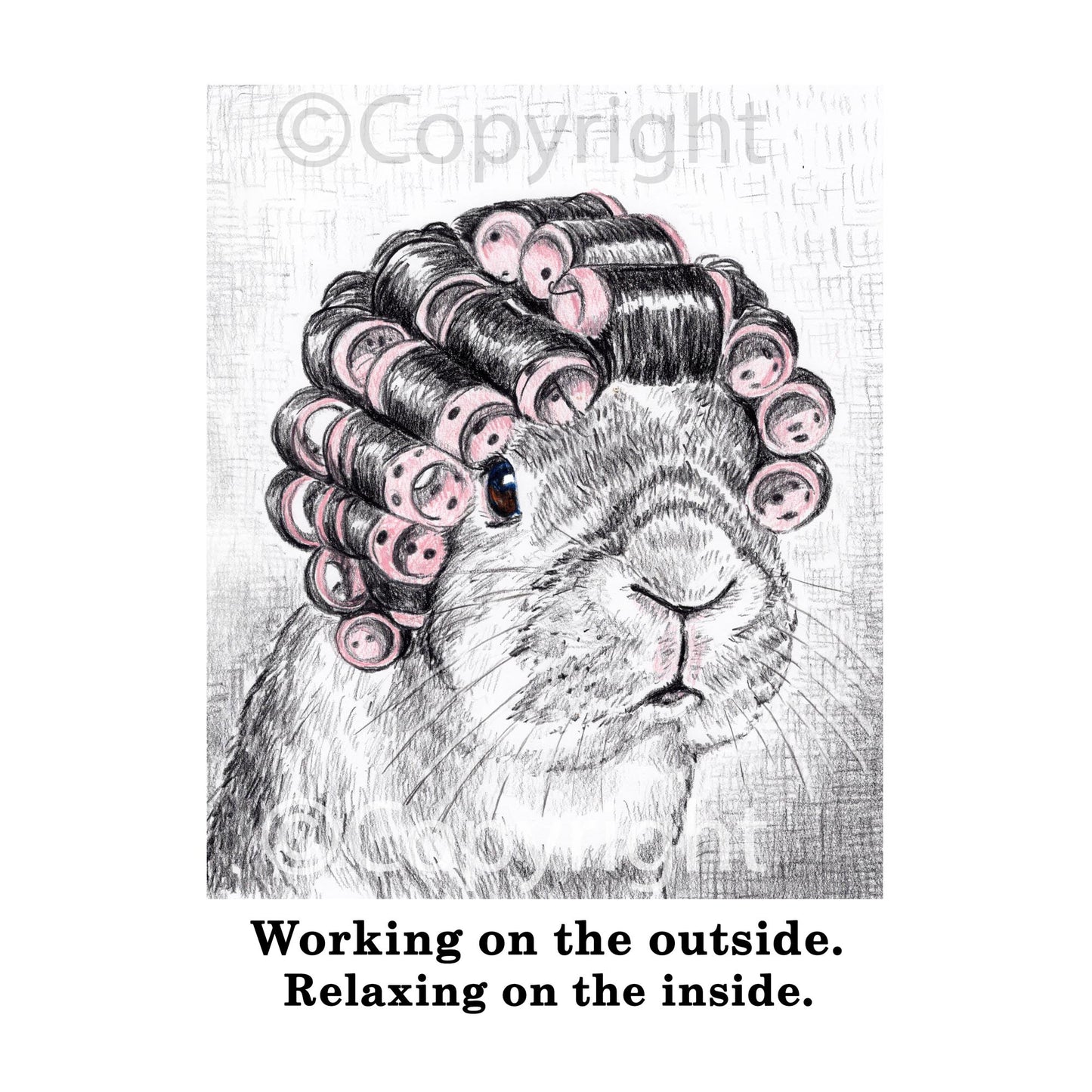 Black and White crayon drawing of a lop eared rabbit wearing hair curlers by Deidre Wicks