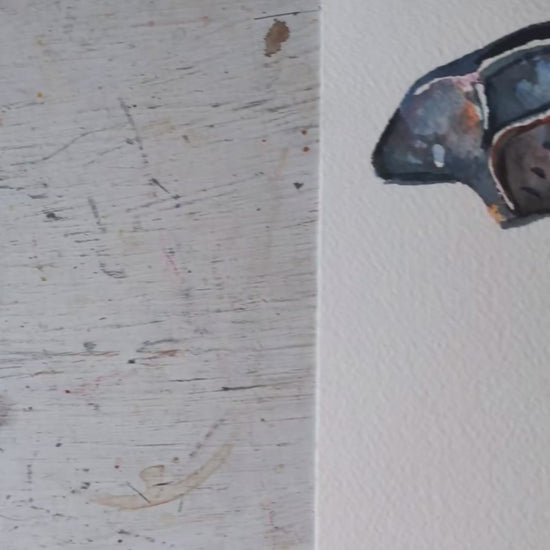 Video of an original watercolour painting of a brown tabby kitten cat wearing bat wings