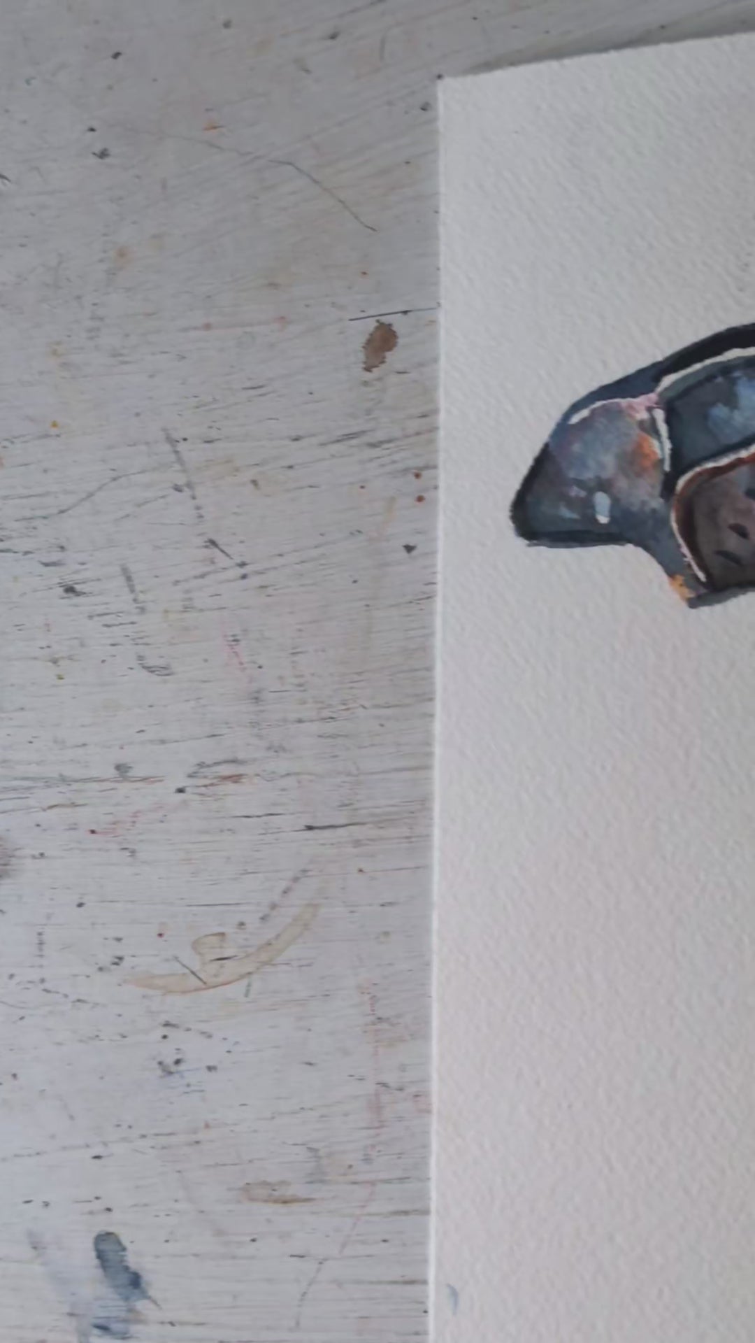 Video of an original watercolour painting of a brown tabby kitten cat wearing bat wings