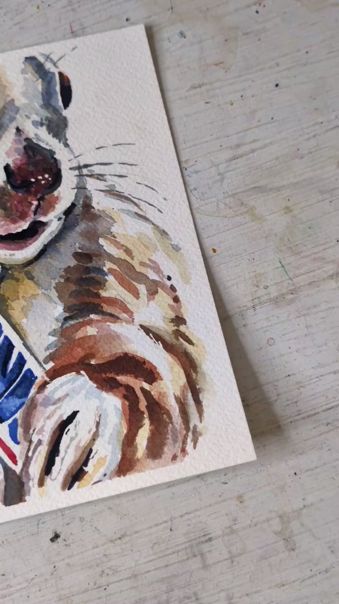 Video of an original watercolour painting of a squirrel eating a chocolate bar