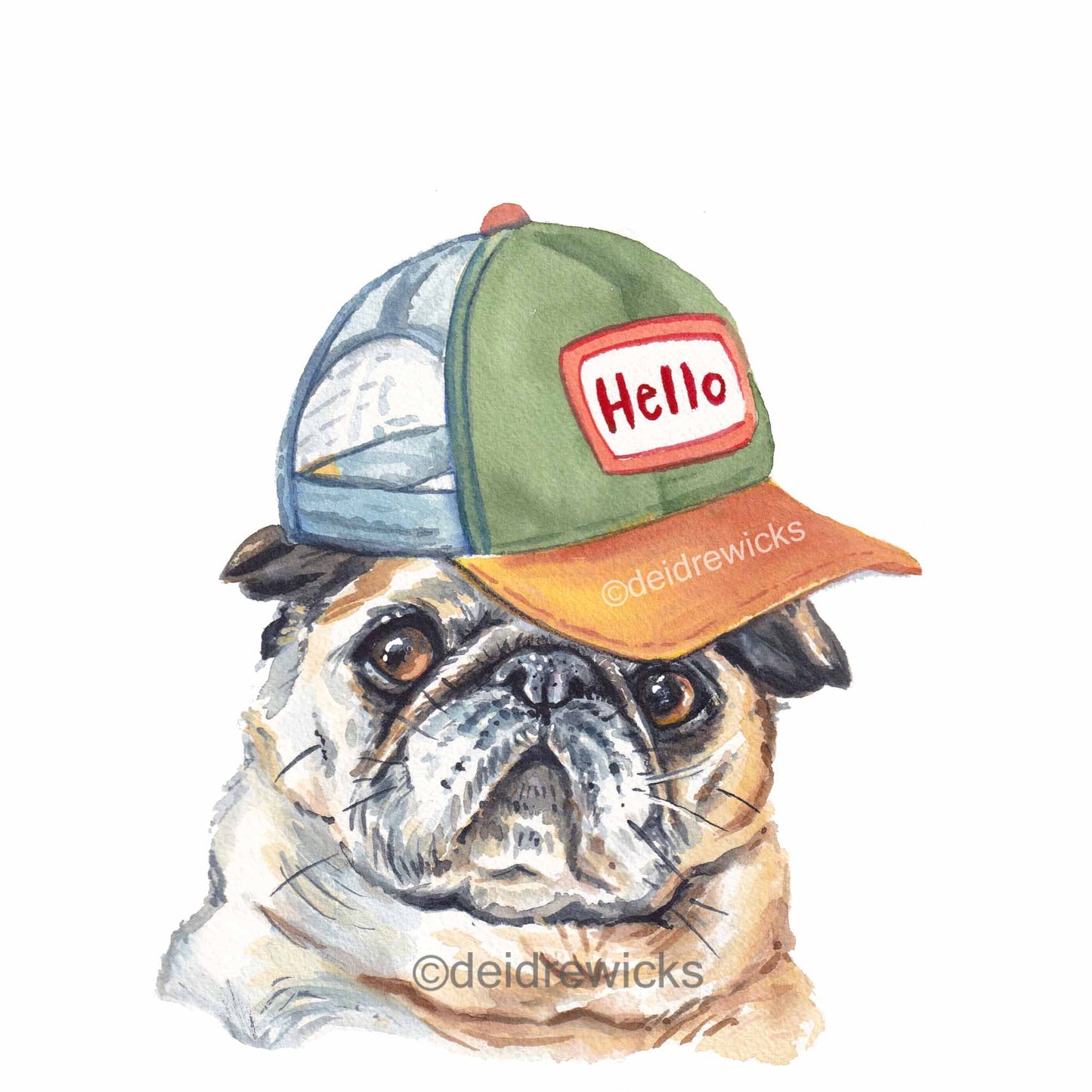 Watercolour painting of a pug dog who is too shy to make eye contact. He lets his hat do the talking. Art by Deidre Wicks