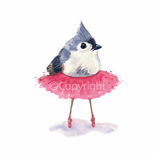 ballet birdie, tufted titmouse bird, pink tutu, pointe shoes, no 45 in series of ballet birds, three sizes available 5x7 8x10 11x14, signed and dated on back, printed with pigment ink on cotton rag paper, archival fine art, copyright Deidre Wicks