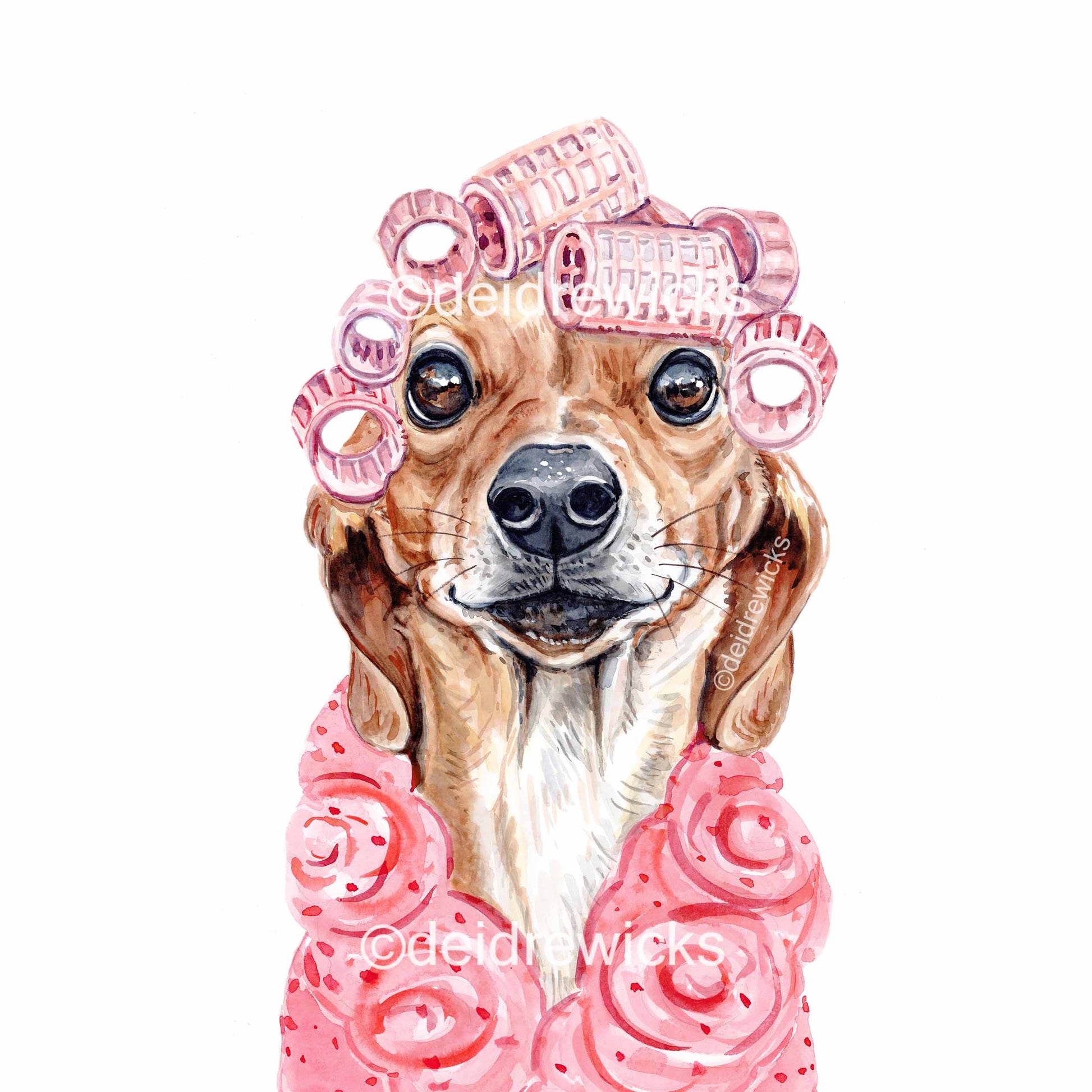 Watercolour painting of a dachshund dog wearing a fuzzy pink bathrobe with curlers in her hair