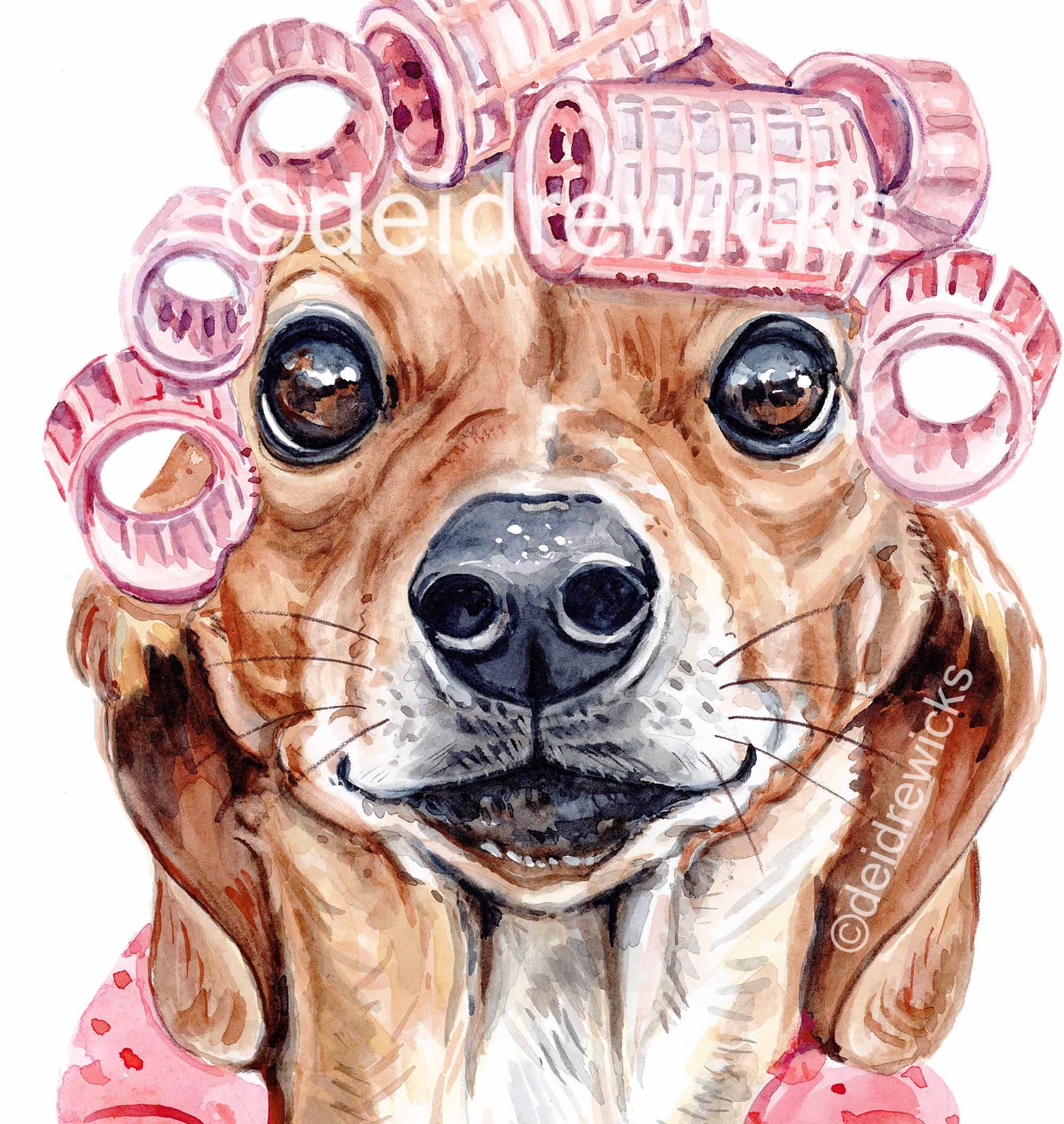Close up of a dachshund wiener dog watercolour painting portrait by artist Deidre Wicks