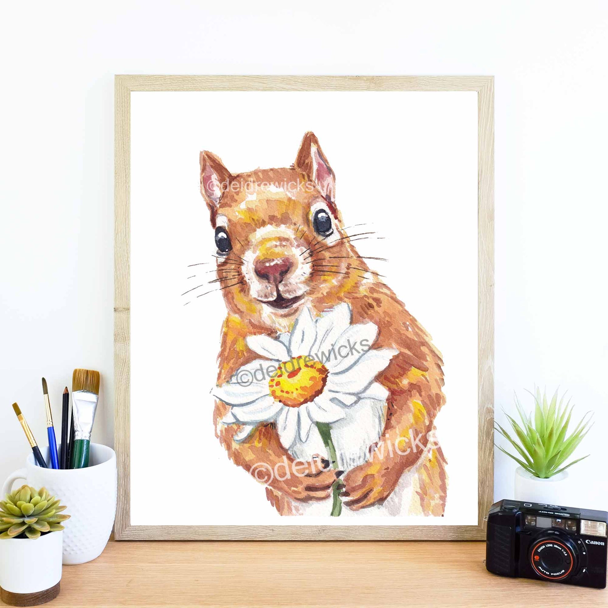 Framed example of a squirrel watercolor painting by Deidre Wicks