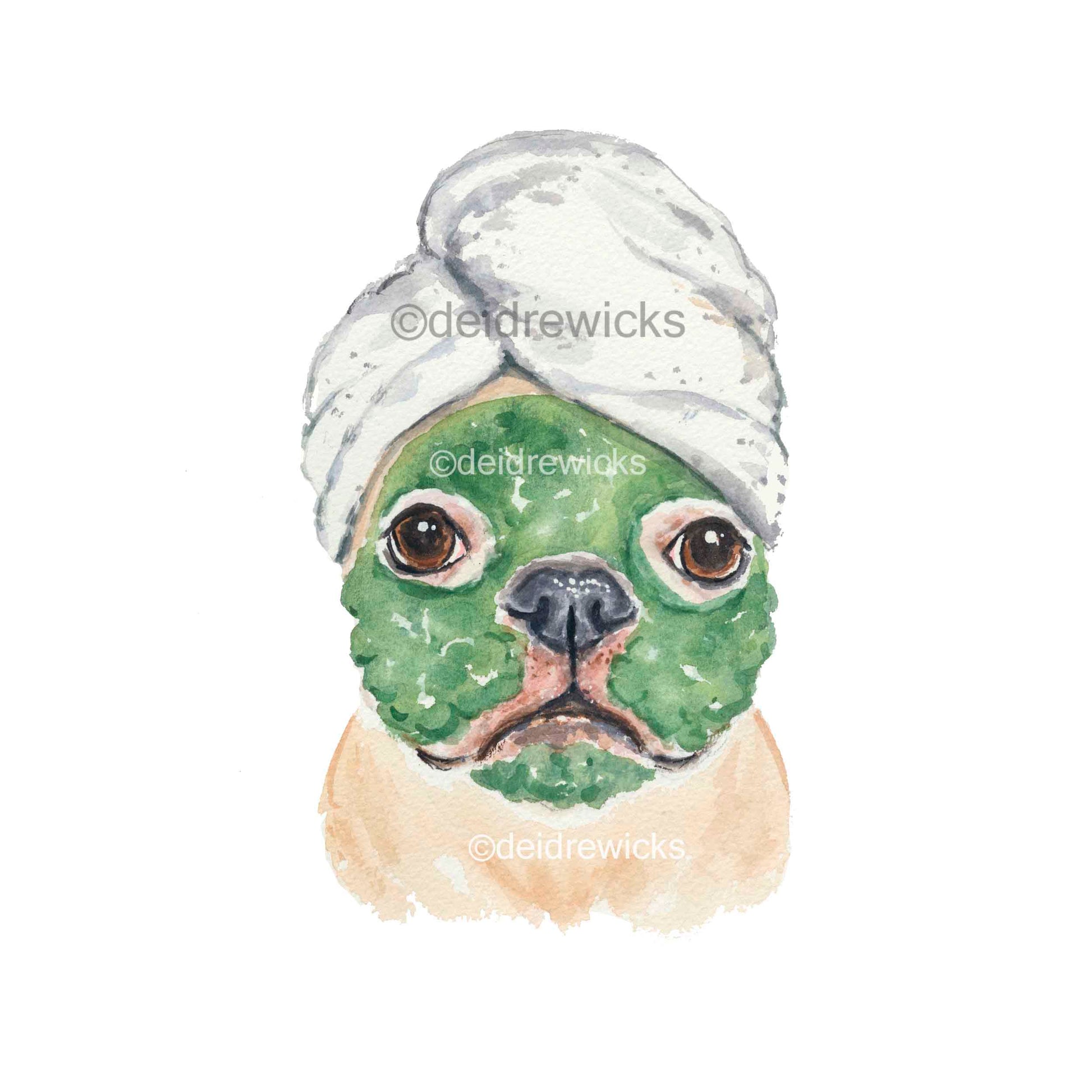 Watercolour painting of a french bulldog having a clay mask facial
