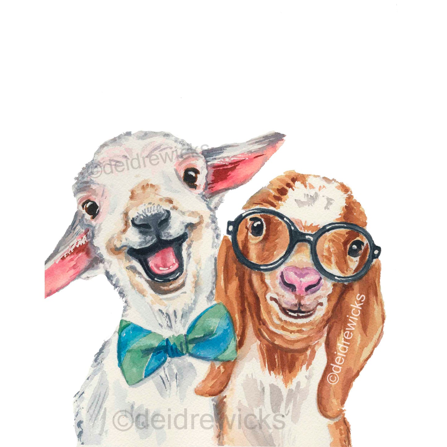 Watercolour painting of 2 best friends, a baby lamb and a baby goat