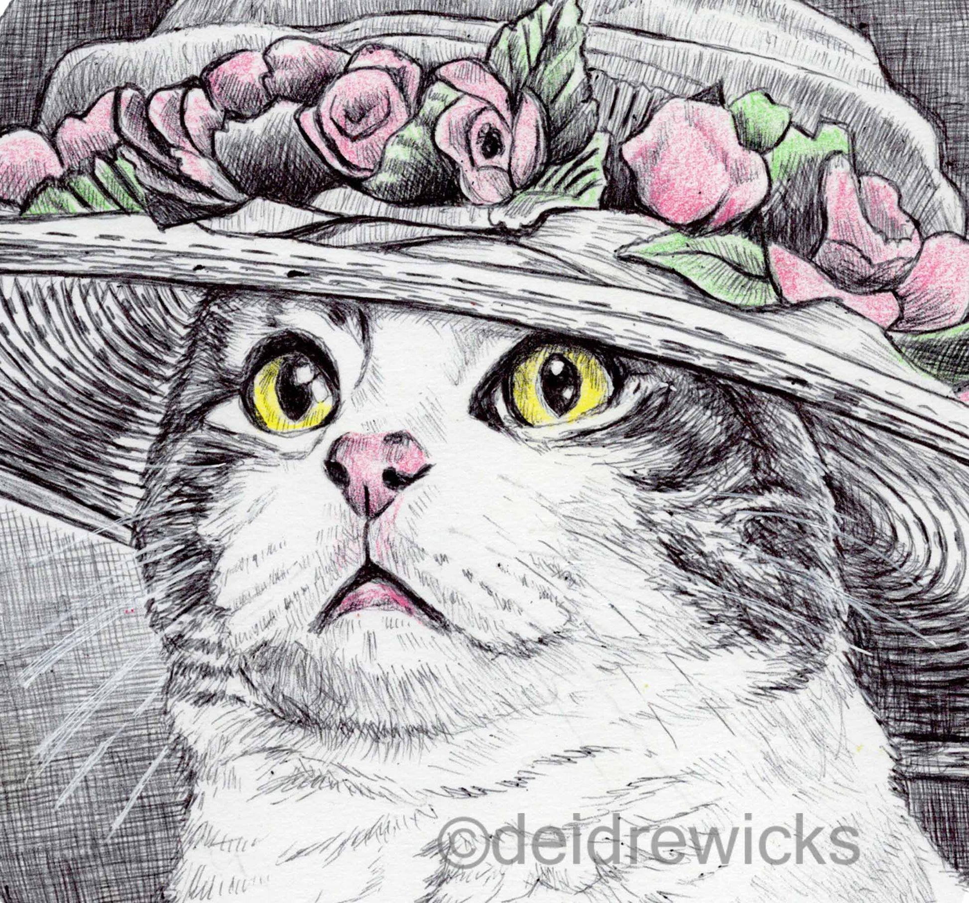 Close up of a ballpoint pen drawing of a tabby cat wearing a large hat. By Deidre Wicks