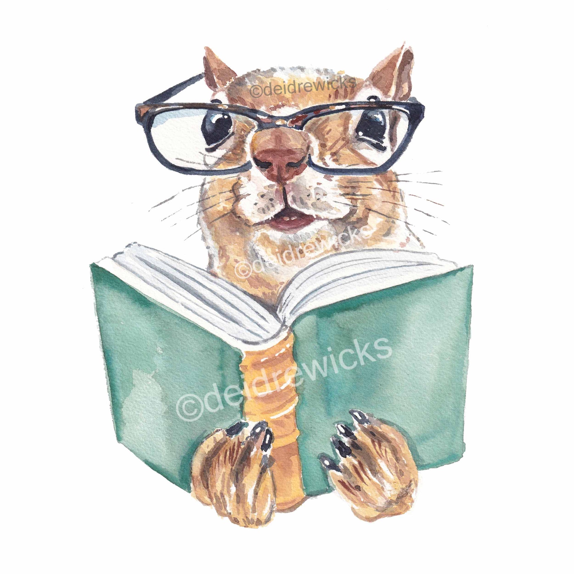Watercolour painting of a squirrel wearing reading glasses while reading a book