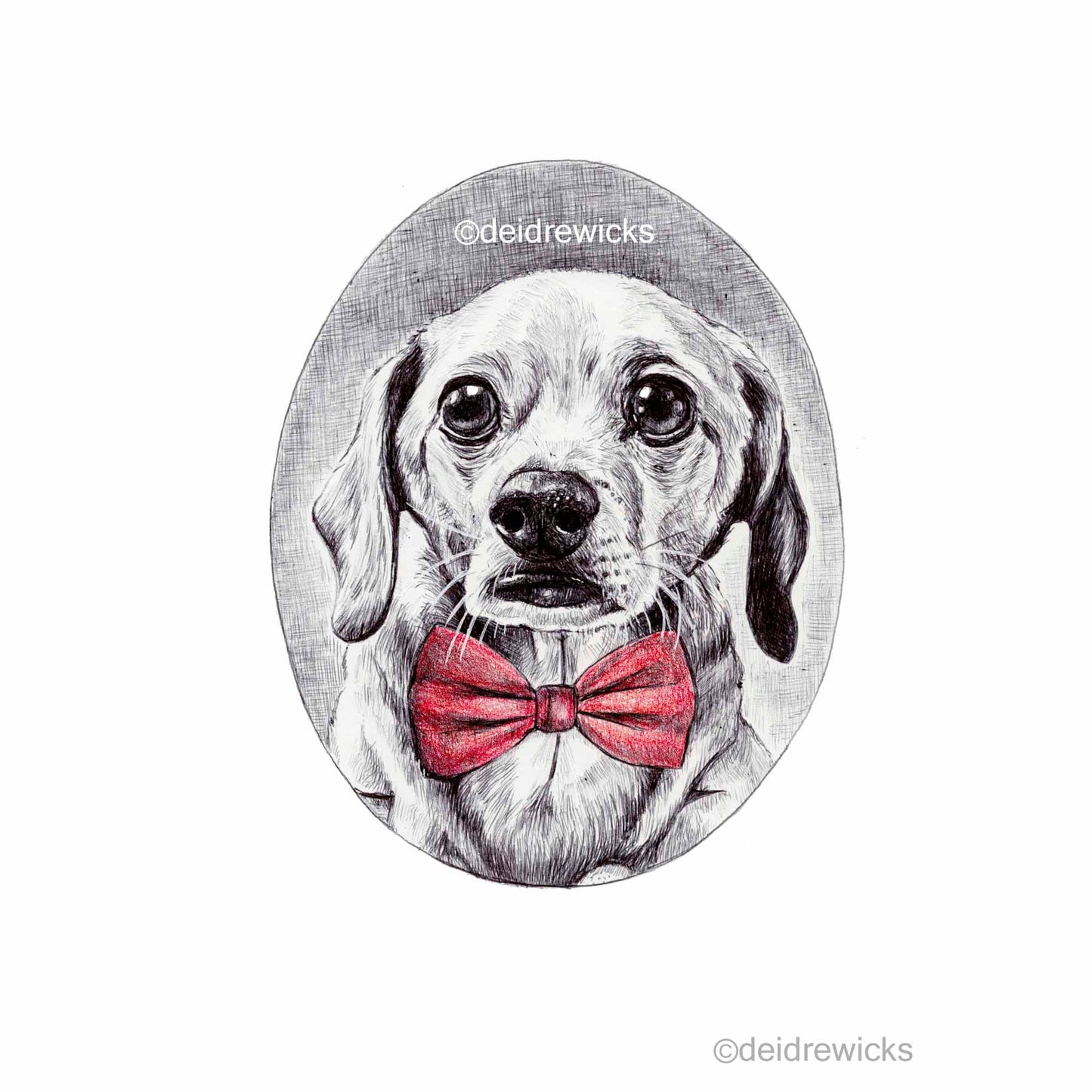 Ballpoint pen drawing of a dapper cheweenie dog wearing a red bow tie. Art by Deidre Wicks