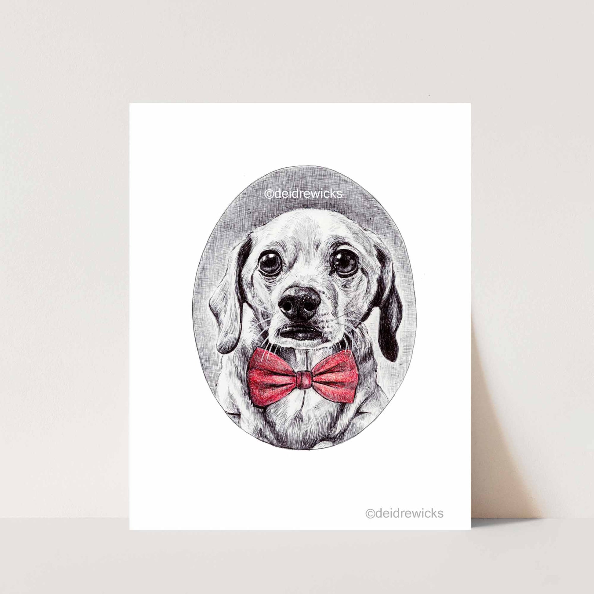 Pen illustration of a dachshund mix dog wearing a red bow tie. Original art by Deidre Wicks