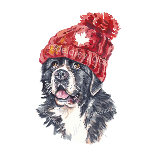 Watercolour painting of a Newfoundland dog wearing a knitted toque, or hat