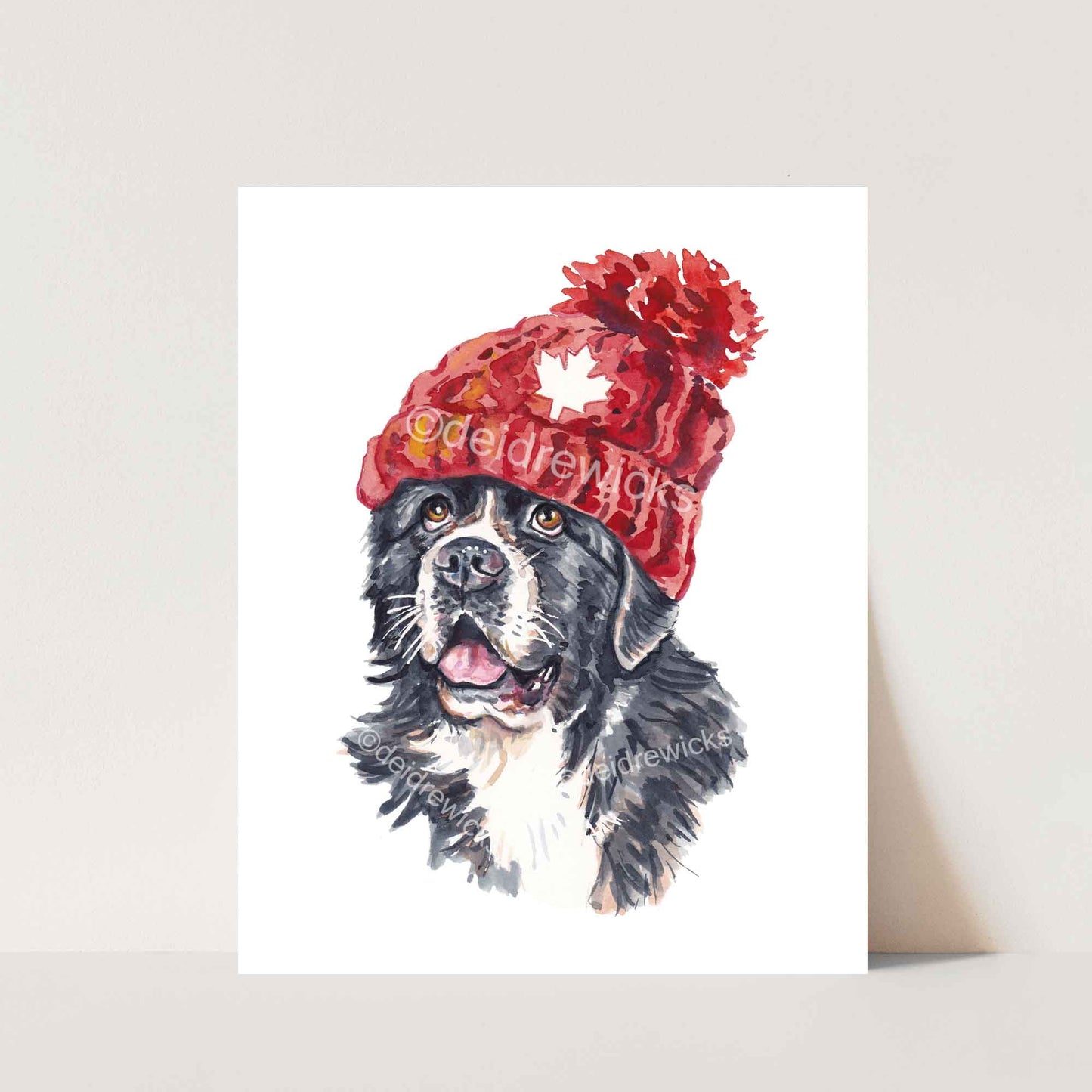Dog watercolour print of a Newfoundland doggie wearing a knitted hat. He's ready for Winter