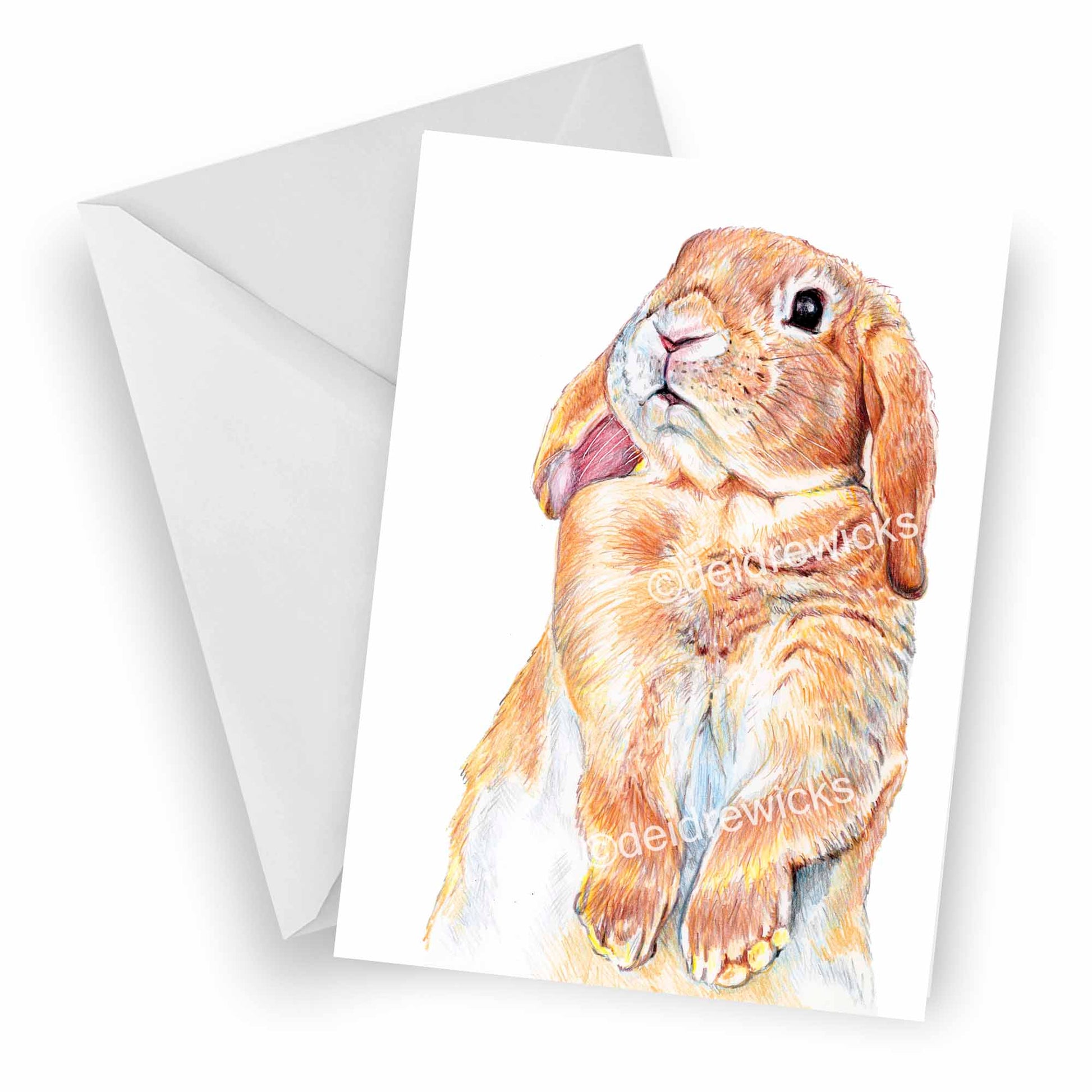 Blank Greeting card featuring a lop eared bunny rabbit sniffing the air. Coloured pencil art by Deidre Wicks
