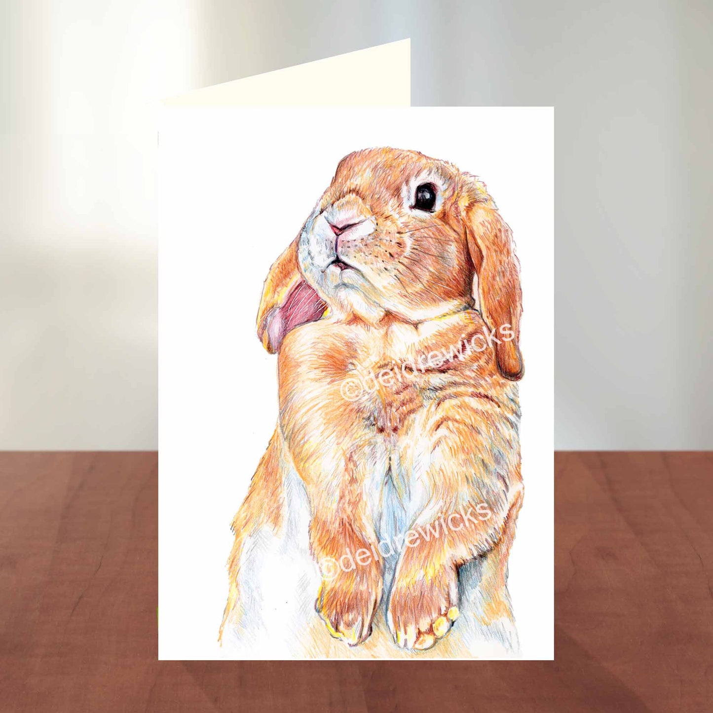 Blank Greeting card featuring a lop eared bunny rabbit sniffing the air. Coloured pencil art by Deidre Wicks
