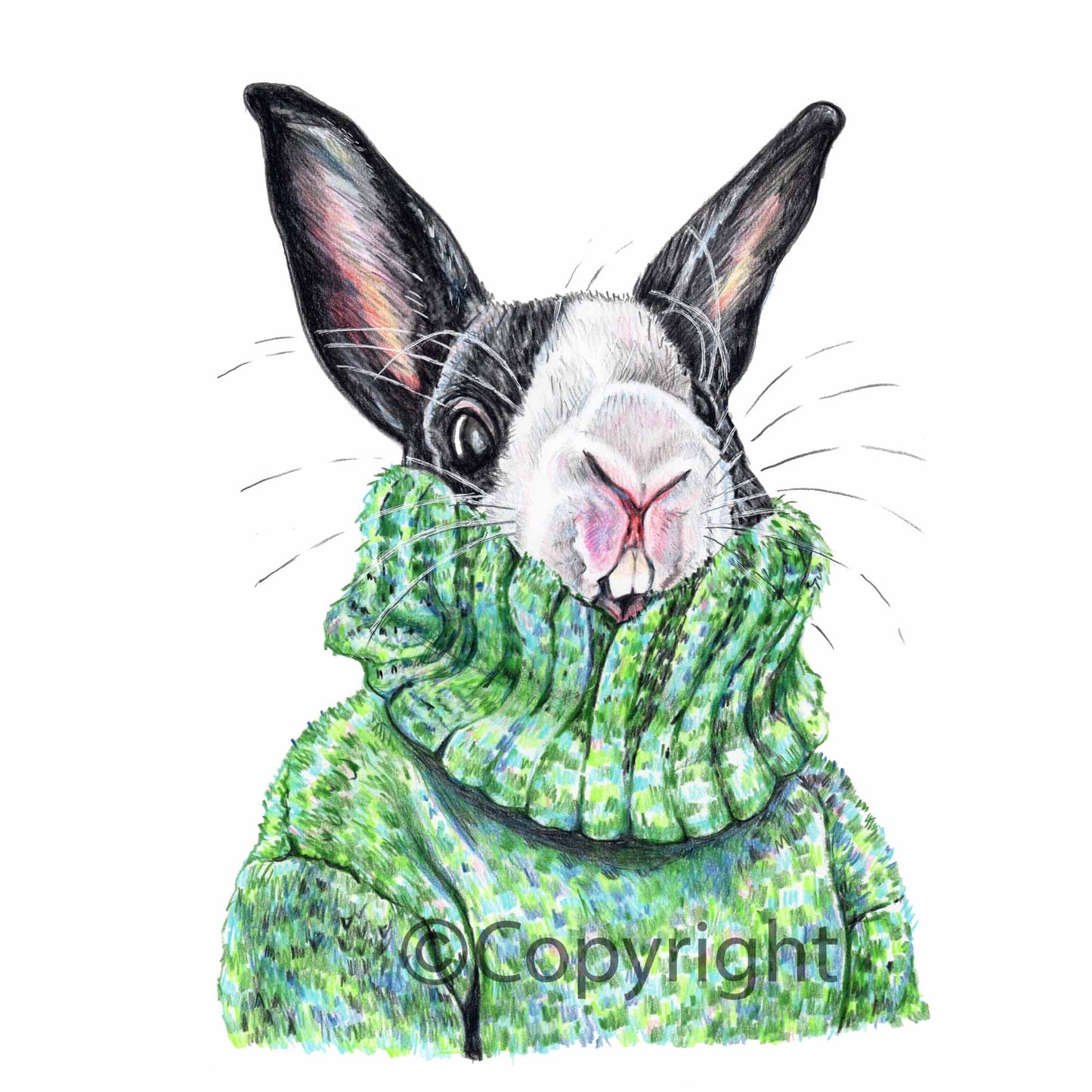 Coloured pencil drawing of a black and white bunny rabbit wearing a large green sweater. Art by Deidre Wicks