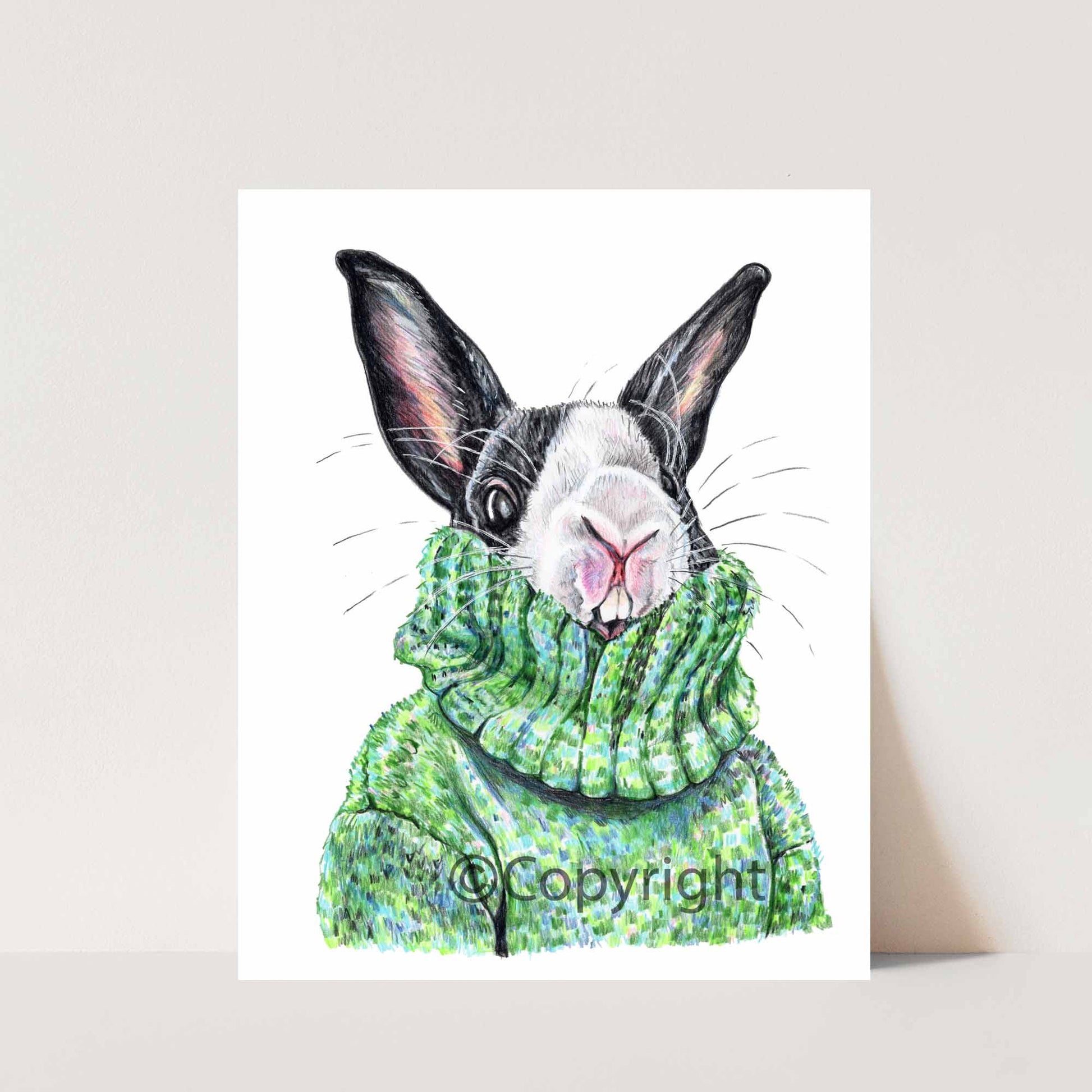 Coloured pencil drawing of a black and white bunny rabbit wearing a large green sweater. Art by Deidre Wicks