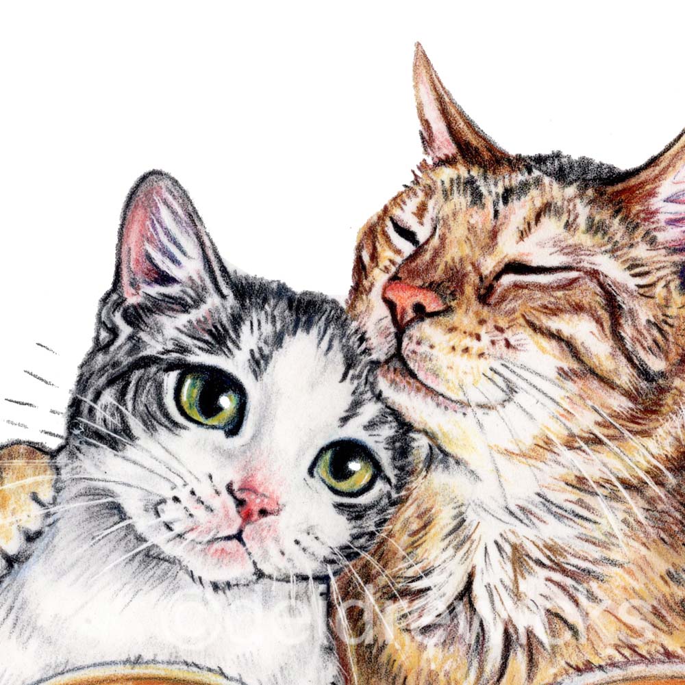 Close up of an illustration of 2 tabby cats embracing