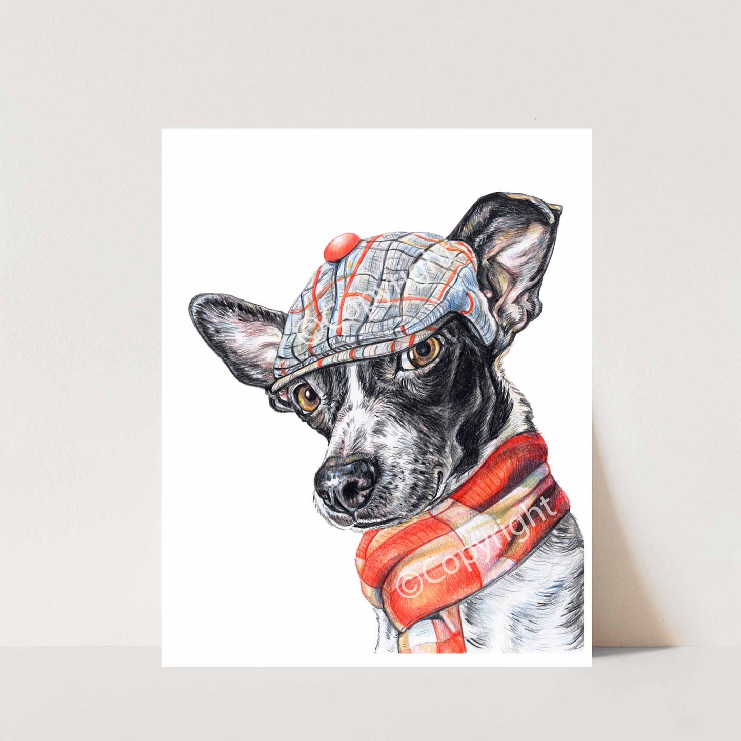 Coloured pencil drawing of a black and white terrier mix dog wearing a dapper cap and woold scarf. Art by Deidre Wicks