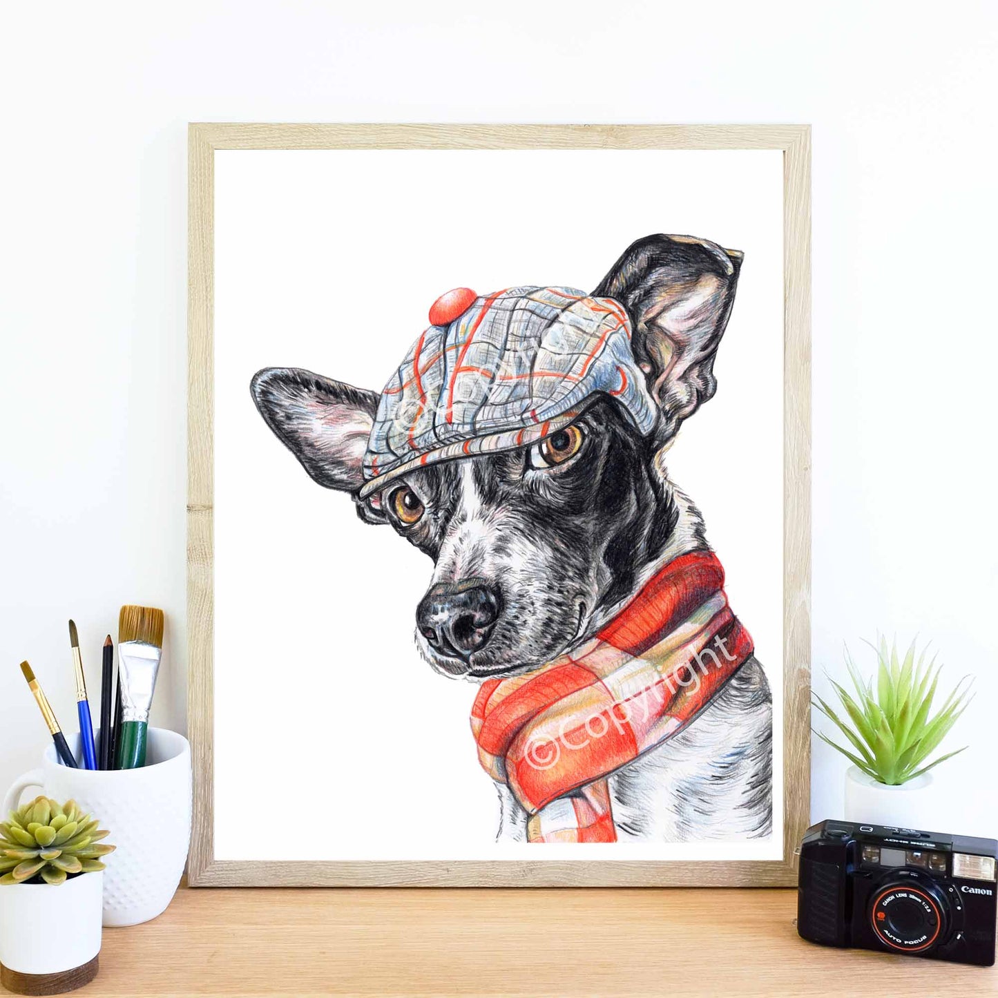 Coloured pencil drawing of a black and white terrier mix dog wearing a dapper cap and woold scarf. Art by Deidre Wicks