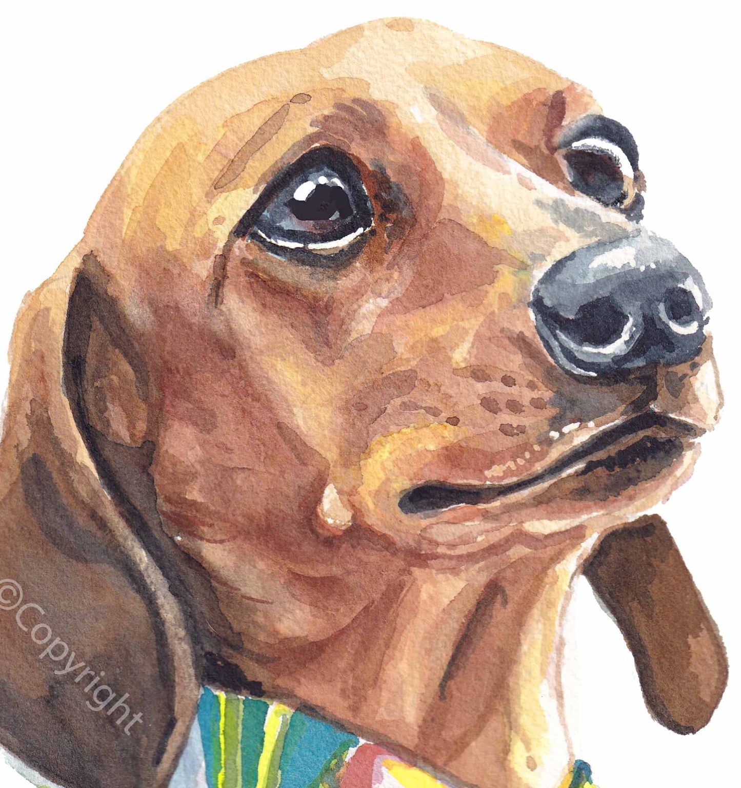 Hawaiian Vacation Dachshund Print