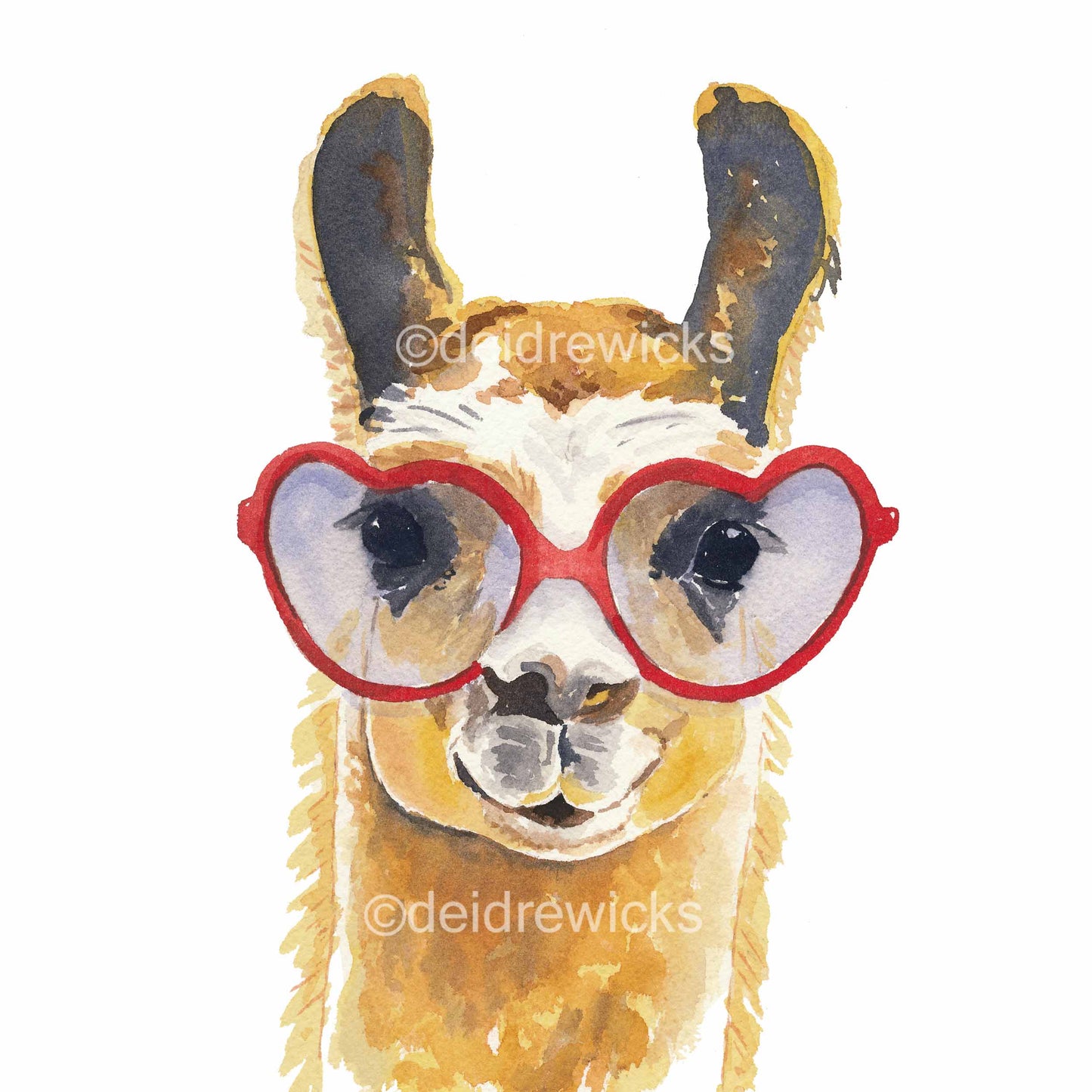 Watercolour painting of a llama wearing heart shaped glasses